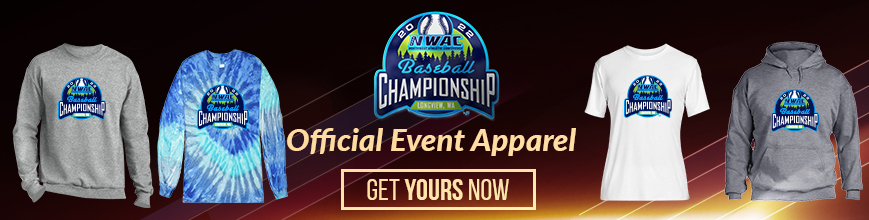 Graphic for baseball championship merchandise online store