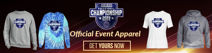 Volleyball championship merchandise banner ad